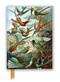 Ernst Haeckel: Hummingbirds (Foiled Journal) by Flame Tree Studio, 9781839648953