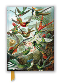 Ernst Haeckel: Hummingbirds (Foiled Journal) by Flame Tree Studio, 9781839648953