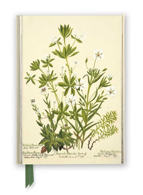 RBGE: Charlotte Cowan Pearson: Stitchworts, Woodruff and Pepperwort (Foiled Journal) by Flame Tree Studio, 9781839648960