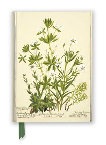 RBGE: Charlotte Cowan Pearson: Stitchworts, Woodruff and Pepperwort (Foiled Journal) by Flame Tree Studio, 9781839648960