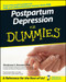 Postpartum Depression For Dummies by Shoshana S. Bennett, Mary Jo Codey, 9780470073353