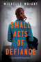 Small Acts of Defiance (A Novel of WWII and Paris) by Michelle Wright, 9780063223905