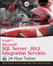 Knight's Microsoft SQL Server 2012 Integration Services 24-Hour Trainer by Brian Knight, Devin Knight, Mike Davis, Wayne Snyder, 9781118479582