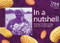 In a Nutshell (Addressing sustainability and citizenship issues through food processing) by Ali Farrell, 9781853395499