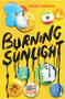 Burning Sunlight by Anthea Simmons, 9781839130441