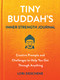 Tiny Buddhas Inner Strength Journal (Creative Prompts and Challenges to Help You Get Through Anything) by Lori Deschene, 9780806542232