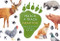 Match a Track Near You (Match 25 Animals to Their Paw Prints) by Marcel George, 9780857829511