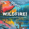 Wildfire! - 9781534487734 by Ashley Wolff, Ashley Wolff, 9781534487734