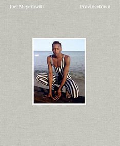Joel Meyerowitz: Provincetown by Joel Meyerowitz, Joel Meyerowitz, Joel Meyerowitz, 9781597114677