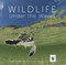 Wildlife Under the Waves by Jürgen & Stella Freund, 9781921517396