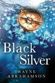 Black Silver by Wayne Abrahamson, 9781950906543