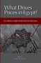 What Drives Prices in Egypt? (An Analysis in Light of International Experience) by Hanaa Kheir-El-Din, 9789774163036
