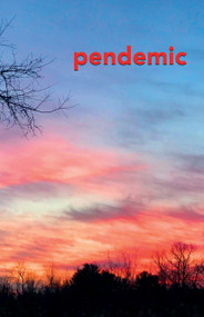 pendemic (a literary magazine) by Jon  Miller, 9781931968829