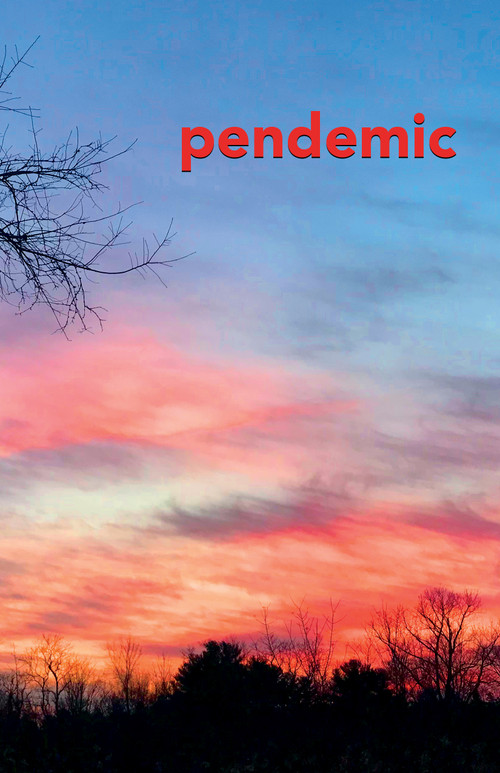 pendemic (a literary magazine) by Jon  Miller, 9781931968829