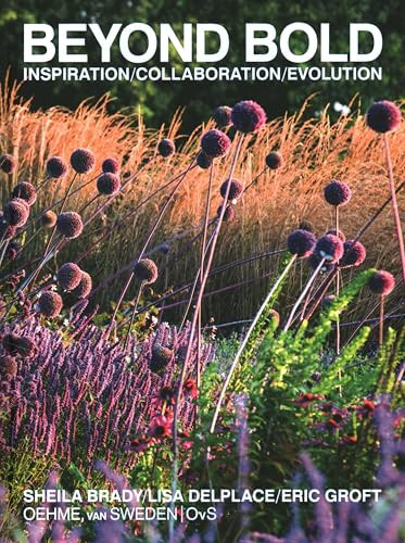 Beyond Bold: Inspiration, Collaboration, Evolution by Eric Groft, Sheila Brady, Lisa Delplace, Tom Christopher, 9780977787586