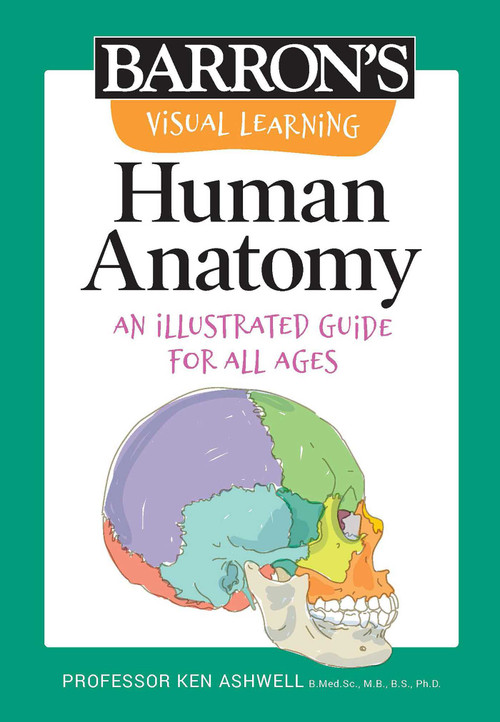 Visual Learning: Human Anatomy (An illustrated guide for all ages) by Ken Ashwell, 9781506280950