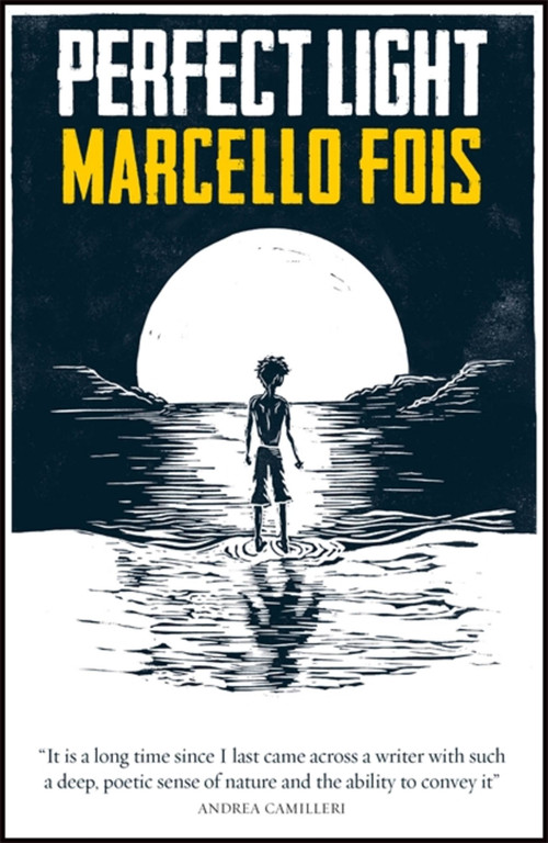 Perfect Light by Marcello Fois, Silvester Mazzarella, 9780857056757