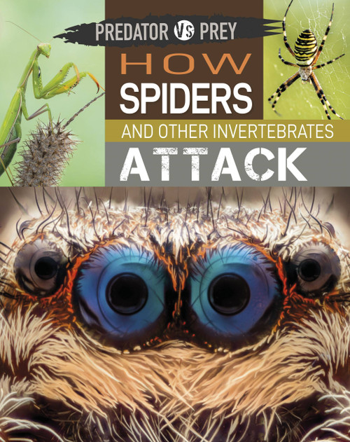 Predator vs Prey: How Spiders and other Invertebrates Attack! - 9781526314635 by Tim Harris, 9781526314635