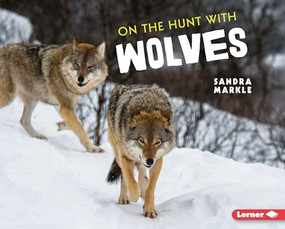 On the Hunt with Wolves by Sandra Markle, 9781728456263