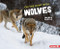 On the Hunt with Wolves - 9781728464442 by Sandra Markle, 9781728464442