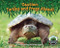 Caution: Turtles and Frogs Ahead! by Joanne Mattern, 9781643711898