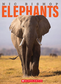 Nic Bishop Elephants by Nic Bishop, Nic Bishop, 9780545605809