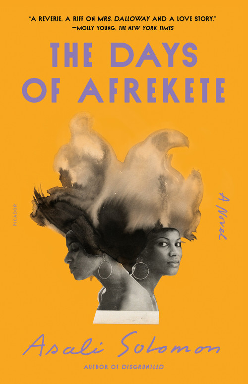 The Days of Afrekete (A Novel) - 9781250858832 by Asali Solomon, 9781250858832