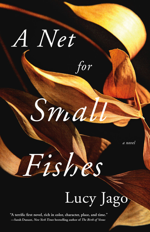 A Net for Small Fishes (A Novel) - 9781250261960 by Lucy Jago, 9781250261960