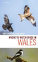 Where to Watch Birds in Wales by David Saunders, Jon Green, 9781472979513