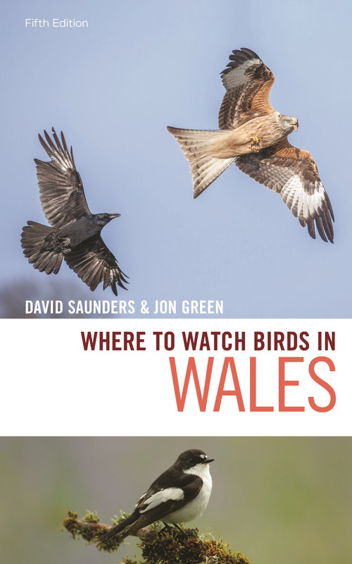 Where to Watch Birds in Wales by David Saunders, Jon Green, 9781472979513