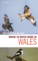 Where to Watch Birds in Wales by David Saunders, Jon Green, 9781472979513