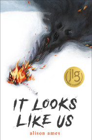 It Looks Like Us by Alison Ames, 9781645676188
