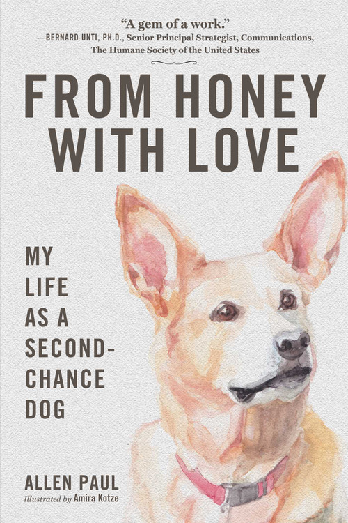From Honey With Love (My Life as a Second-Chance Dog) by Allen Paul, Amira Kotze, 9781510768567