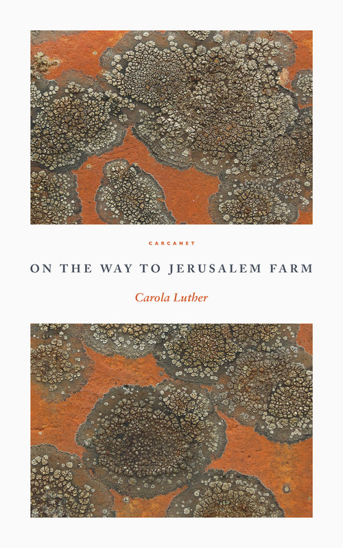 On the Way to Jerusalem Farm by Carola Luther, 9781800171633