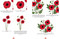 Simply Paint Flowers (25 inspiring designs in easy steps) by Becky Amelia, 9781800920392