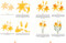 Simply Paint Flowers (25 inspiring designs in easy steps) by Becky Amelia, 9781800920392