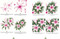 Simply Paint Flowers (25 inspiring designs in easy steps) by Becky Amelia, 9781800920392