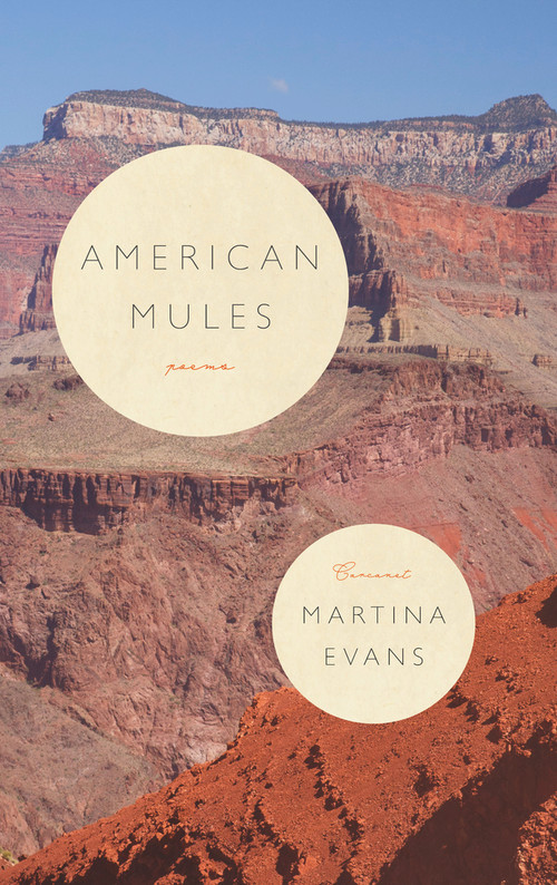 American Mules by Martina Evans, Martina Evans, 9781800170896