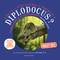 Qu'y a-t-il de si génial à propos de Diplodocus? (French Edition) by Nicky Dee, 9782764446553