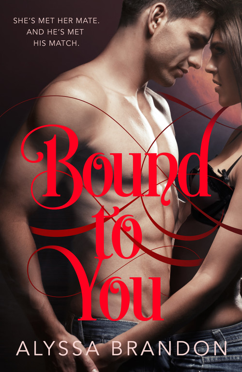 Bound to You - 9781250294692 by Alyssa Brandon, 9781250294692