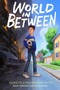 World in Between (Based on a True Refugee Story) by Kenan Trebincevic, Susan Shapiro, Susan Shapiro, 9780358439875