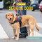 Service Dogs - 9781668909072 by Beth Finke, 9781668909072
