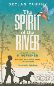 The Spirit of the River (A Quest for the Kingfisher) by Declan Murphy, 9781843518020