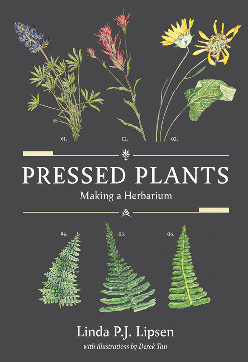 Pressed Plants (Making a Herbarium) by Linda P.J. Lipsen, Derek Tan, 9780772680563