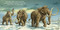 Good Night Ice Age by Adam Gamble, Mark Jasper, Ute Simon, 9781649070531