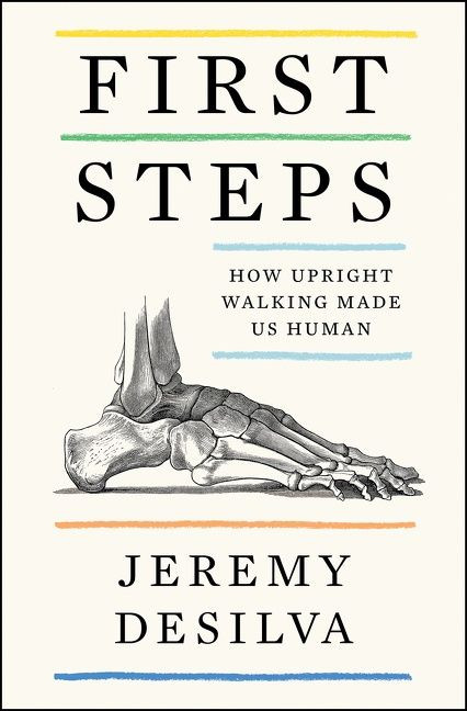 First Steps (How Upright Walking Made Us Human) - 9780062938503 by Jeremy DeSilva, 9780062938503