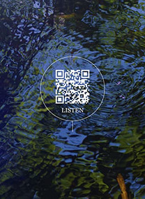 Wetland Project (Explorations in Sound, Ecology and Post-Geographical Art) by Brady Ciel Marks, Mark Timmings, William Gibson, Elizabeth May, Susan McMaster, Stephen Morris, Alex Muir, Philip Kevin Paul, Dylan Robinson, Hildegaard Westerkamp, Laurie White, 9781773271996