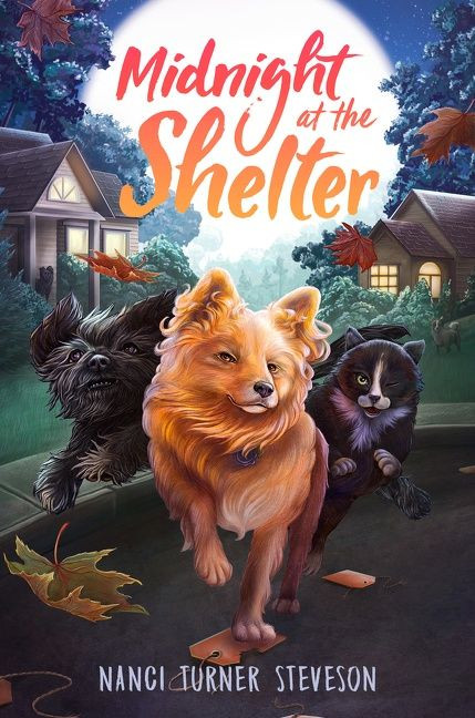 Midnight at the Shelter by Nanci Turner Steveson, 9780062673213
