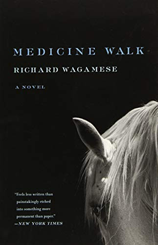 Medicine Walk - 9781571311160 by Richard Wagamese, 9781571311160
