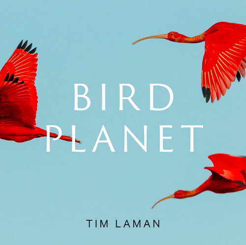 Bird Planet (A Photographic Journey) by Tim Laman, 9781419761492